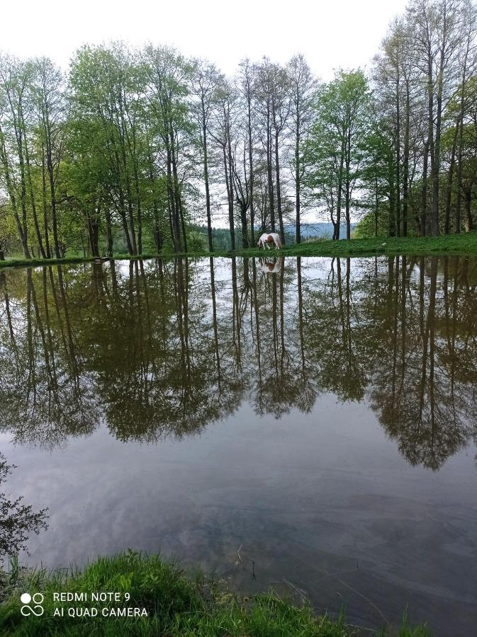 Apartmany U Becova Nad Teplou Becov nad Teplou Exterior photo